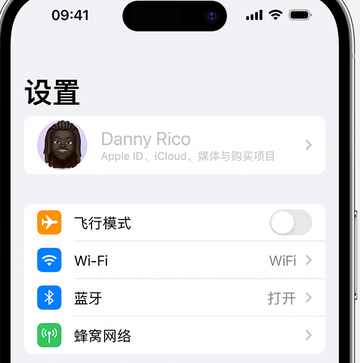 潮阳appleID维修服务iPhone设置中Apple ID显示为灰色无法使用 