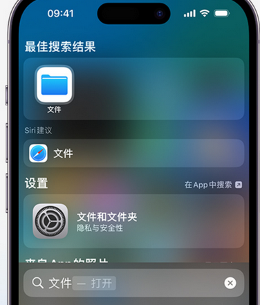 潮阳apple维修中心分享iPhone文件应用中存储和找到下载文件 