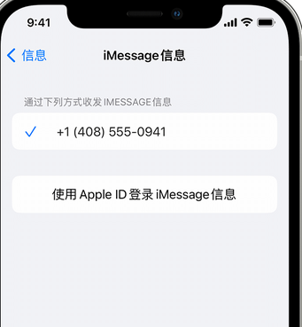 潮阳apple维修iPhone上无法正常发送iMessage信息 