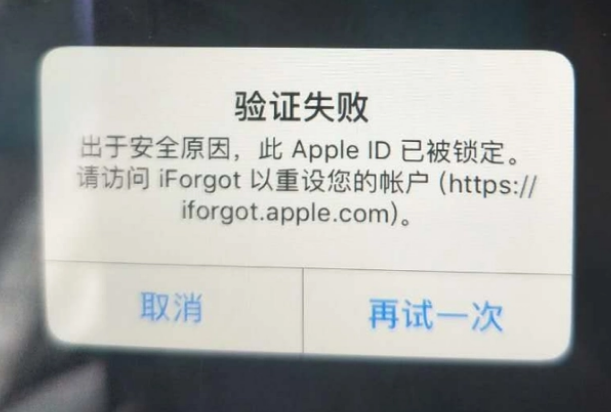 潮阳iPhone维修分享iPhone上正常登录或使用AppleID怎么办 