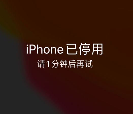 潮阳苹果手机维修分享:iPhone 显示“不可用”或“已停用”怎么办？还能保留数据吗？ 