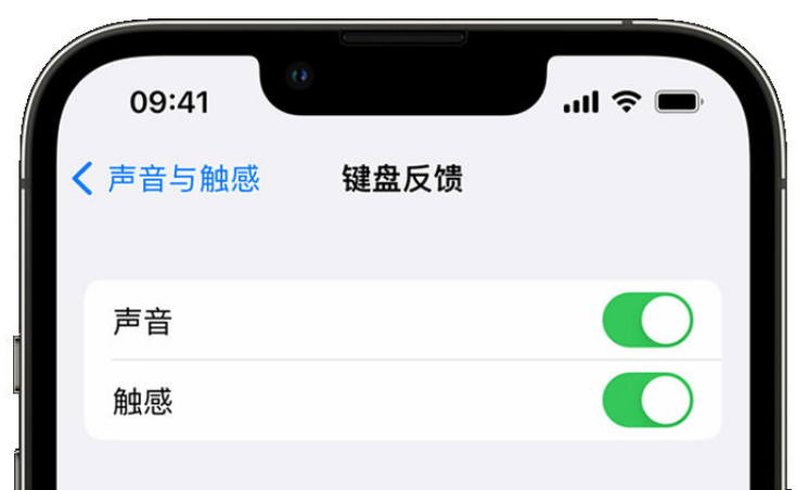 潮阳苹果手机维修分享iPhone 14触感键盘使用方法 