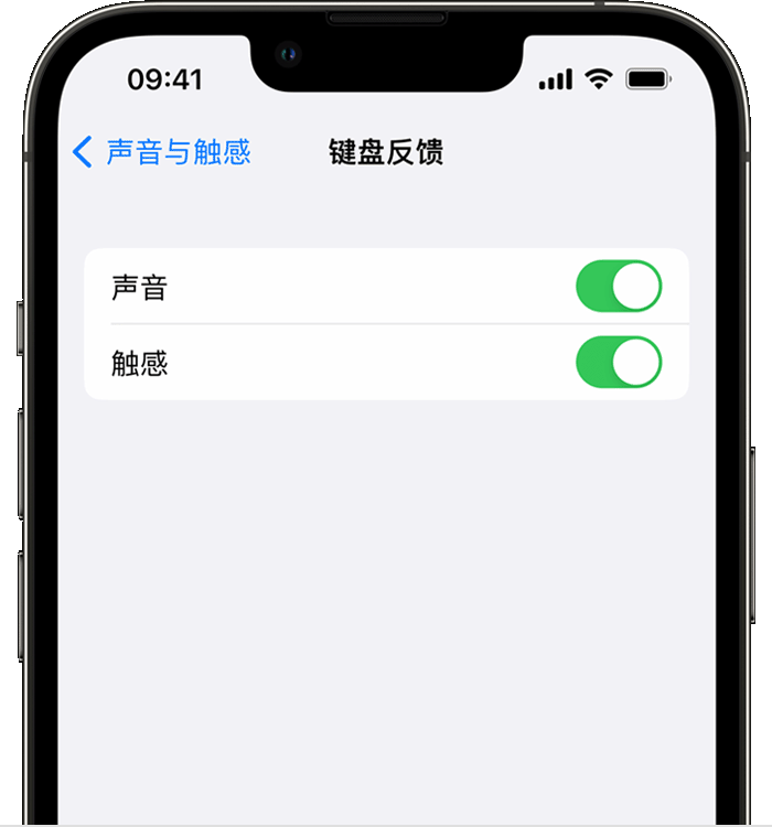 潮阳苹果14维修店分享如何在 iPhone 14 机型中使用触感键盘 