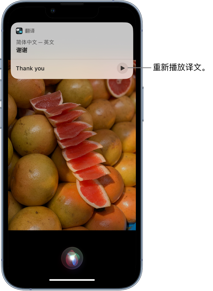 潮阳苹果14维修分享 iPhone 14 机型中使用 Siri：了解 Siri 能帮你做什么 