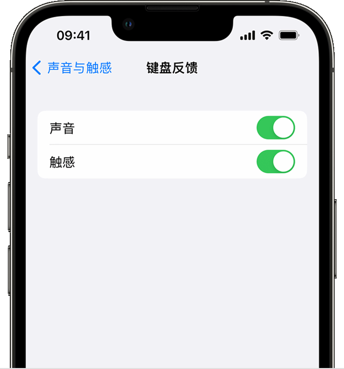 潮阳苹果14维修分享iPhone 14 系列机型如何开启键盘声音或触感反馈 