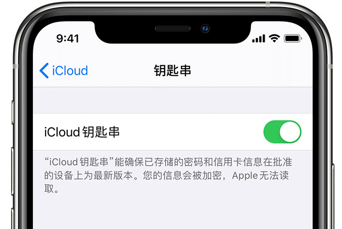 潮阳苹果手机维修分享在 iPhone 上开启 iCloud 钥匙串之后会储存哪些信息 