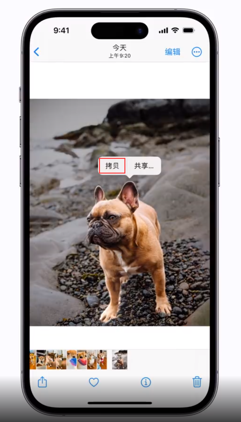 潮阳苹果手机维修分享 iOS 16 自带一键抠图功能 