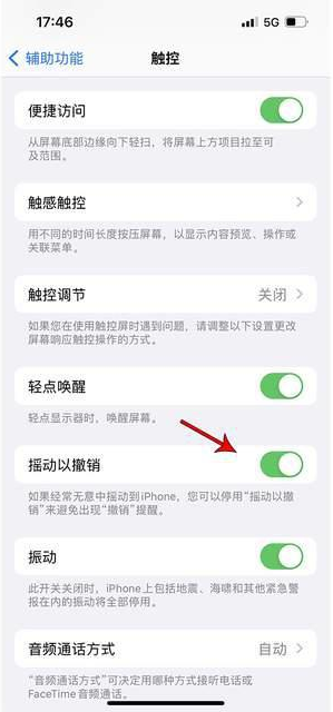 潮阳苹果手机维修分享iPhone手机如何设置摇一摇删除文字 