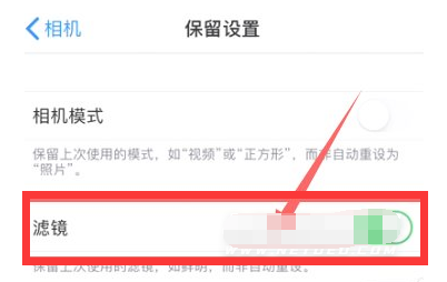潮阳苹果13维修分享iPhone13拍照有绿点是怎么回事 