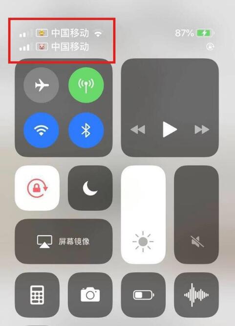 潮阳苹果手机维修分享为 iPhone 12 双卡设置标签 