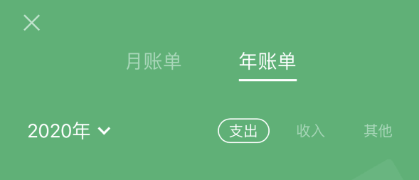 潮阳苹果手机维修分享如何在 iPhone 上查看支付宝和微信年支出账单 