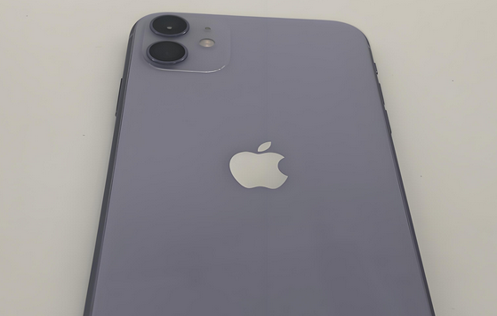 潮阳苹果11系统维修分享iPhone11手机系统崩溃无法开机如何解决